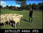     
: vett_redb_melb_2011-4.jpg
: 293
:	446.1 
ID:	2006